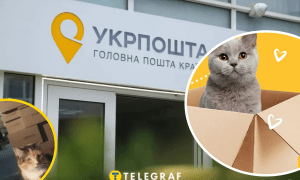 Коллаж "Телеграфа"