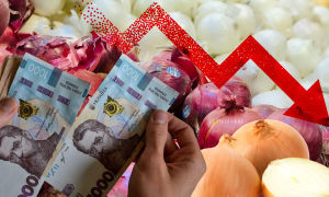 Ціни на цибулю Колаж: "Телеграф"