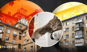 Кирпичные дома