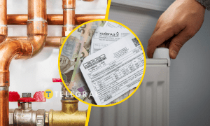 Коммунальные услуги