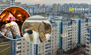 Панельный дом