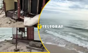 Коллаж "Телеграфа"