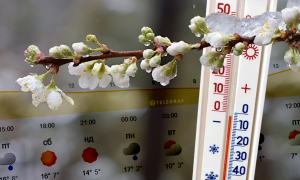 Прогноз погоди