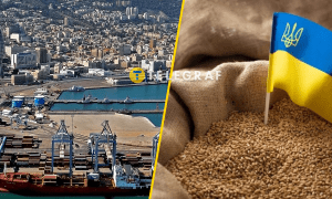 Это не первый корабль с зерном с оккупированных территорий Украины, которые хотели разгрузить в Хайфе