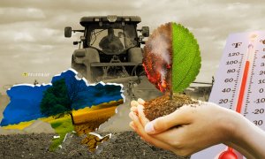 Теплые зимы обладают как плюсами, так и минусами для аграрного сектора. Фото Коллаж "Телеграфа"