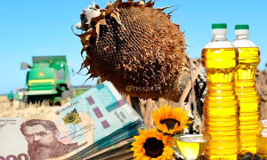 Колаж "Телеграфа"