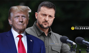 Дональд Трамп и Владимир Зеленский