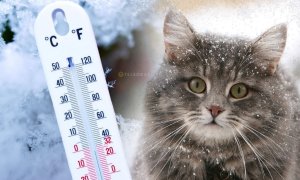 Погода в Украине