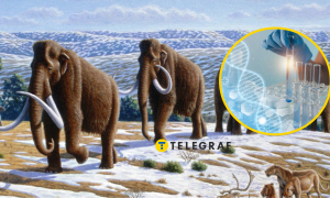 Родина мамонтів