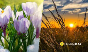 Погода весной и летом
