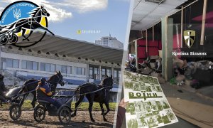 Ипподром стал эпицентром скандала вокруг склада волонтеров. Фото Коллаж "Телеграфа"