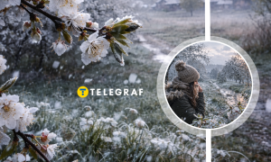 Прогноз погоды в Украине