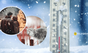 Погода в феврале