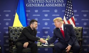 Владимир Зеленский и Дональд Трамп