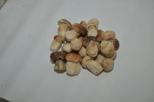 Як заморозити білі гриби на зиму (відео)