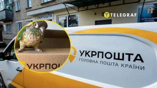 Почтовый оператор делает свои услуги более удобными