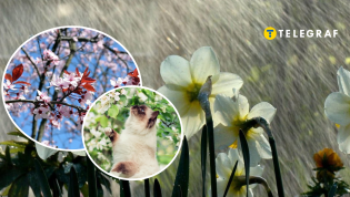 Конец апреля не будет теплым