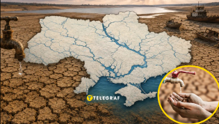 Проблема возникла уже давно