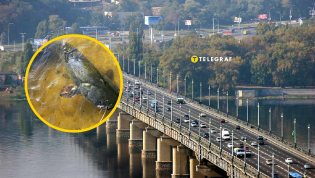 Пойманный сом весит около четырех килограммов