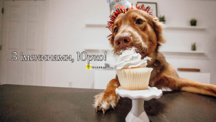 Поздравление с именинами Юрия