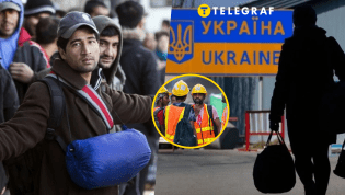 Иностранцы в Украине могут рассчитывать на социальную защиту