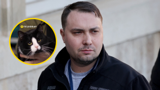 Кот Гюнтер - один из домашних любимцев Кирилла Буданова