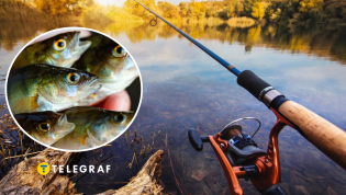 Рыбак поймал необычную рыбу