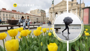 Заморозков во Львове не предполагается, только дожди