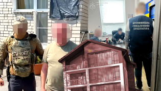 Все начиналось с проверки деклараций