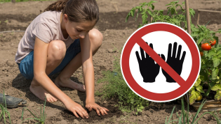 Огородные дела следует отложить на другой день