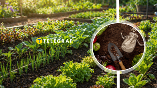 Какая ошибка стоит урожая