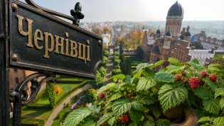 Черновцы