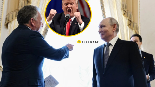 Встреча Уиткоффа и Путина отличалась "любезным" тоном