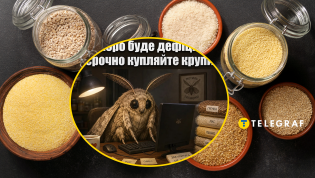 Кого точно порадуют запасы, так это вредителей