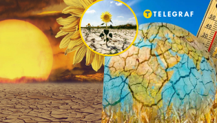 В Украине будут выращивать новые сорта культур