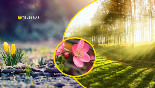 Терпеть холода осталось недолго