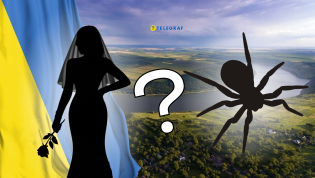 Каракурты в Украине