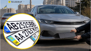 Авторы петиции привели ряд аргументов