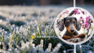 Второй месяц весны не баловал украинцев