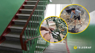 Список работ — от плетения сеток до строительства укрытий