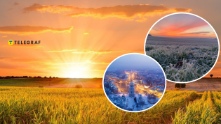 Средняя температура выросла