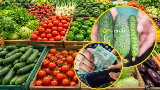 Самые выгодные варианты можно найти в сети "Сильпо"