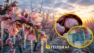 Весенние холода привели к скачку стоимости