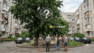 "Сюрприз" посреди двора