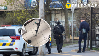 Стрельба в Голосеевском районе