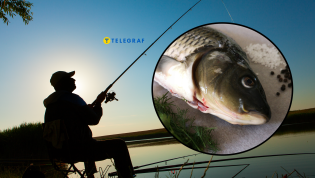 "Карпфишинг" может быть интересен