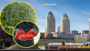 Днепрянам следует брать зонтики и одевать зимние вещи