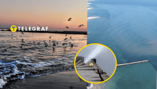 Побережье Одессы может быть сильно загрязнено