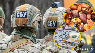СБУшники могли обогатиться на незаконной добыче янтаря