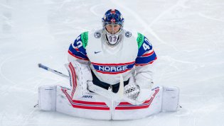 Хенрик Хейкеланн